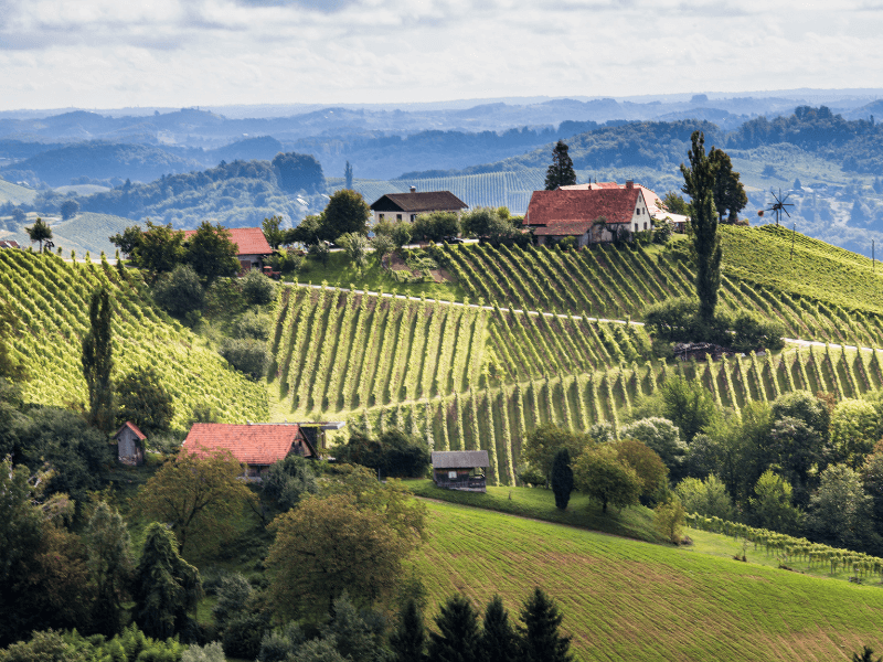 From Vineyards to Glass: Trinkfluss Wines and where wine meets stories