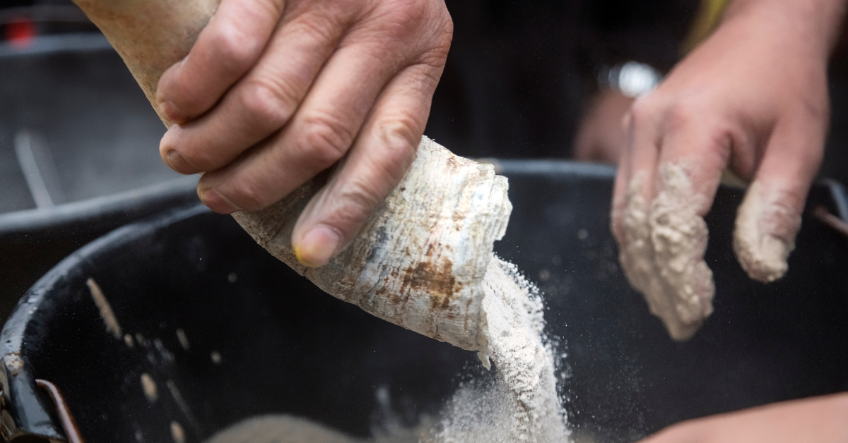 Biodynamic Wines