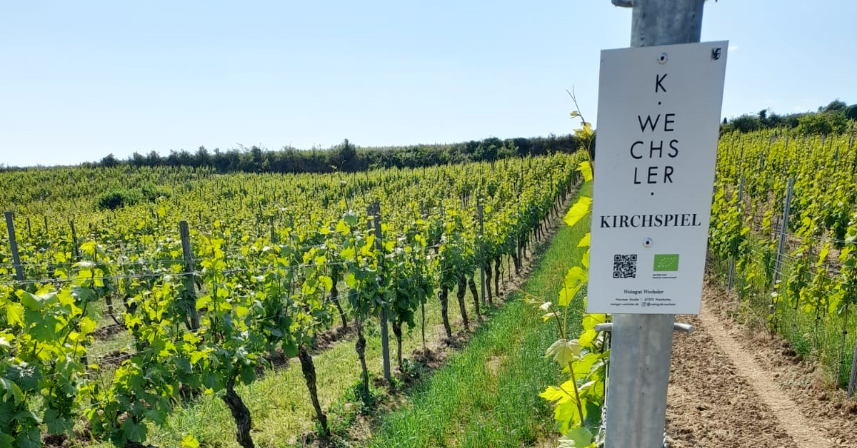 Organic Wines
