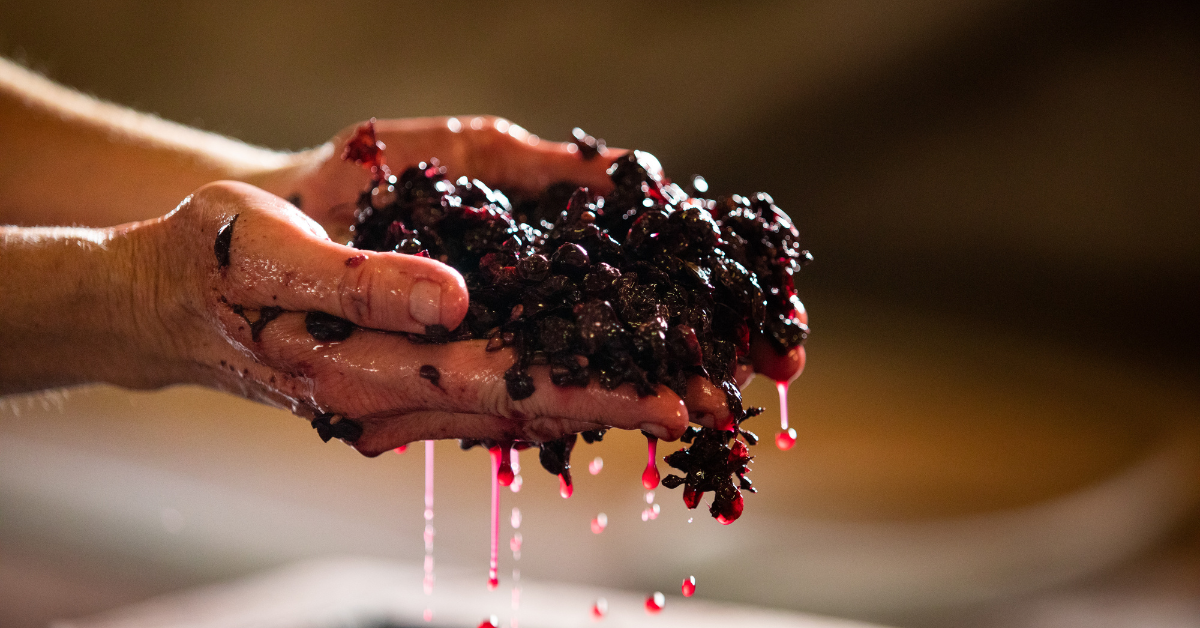 Red Wine