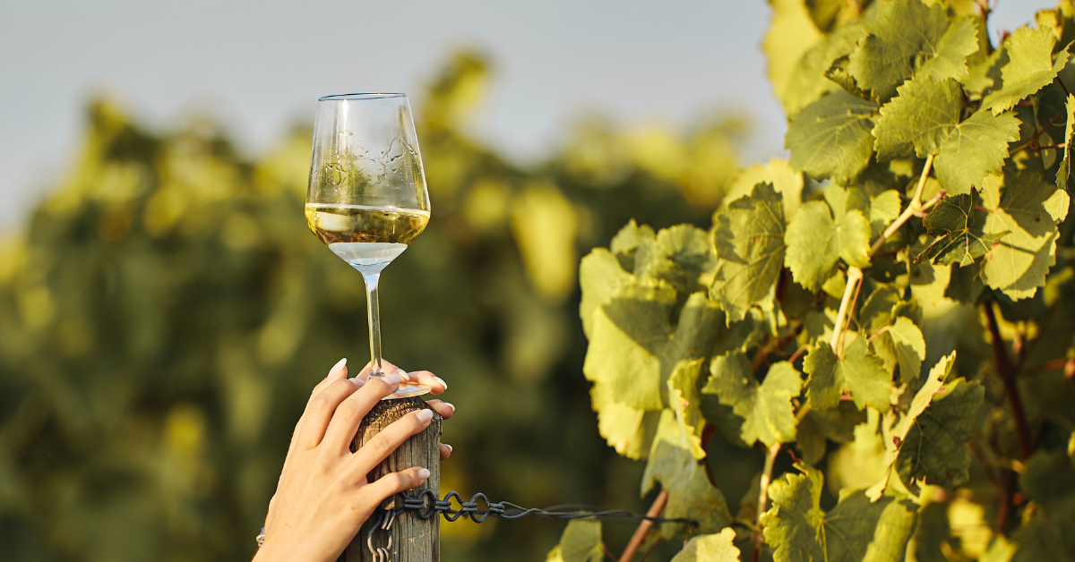 White Wine