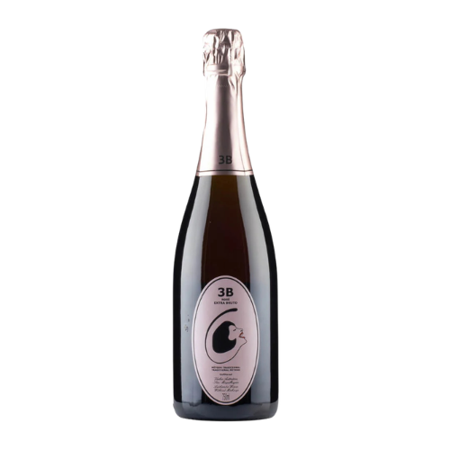Filipa Pato & William Wouter 3B Rose NV