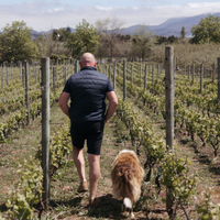 16.09.2026 - Wine Tasting with Nico from La Brune