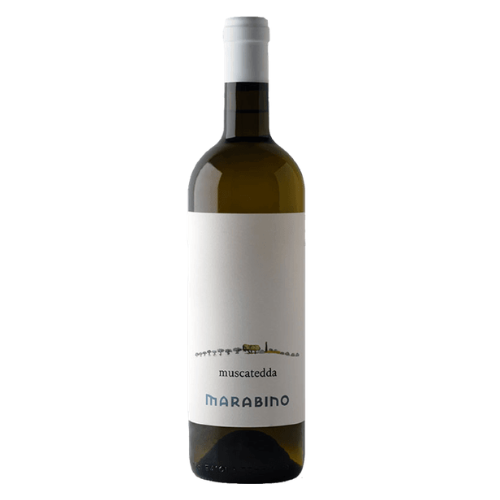 Marabino, Muscatedda 2024