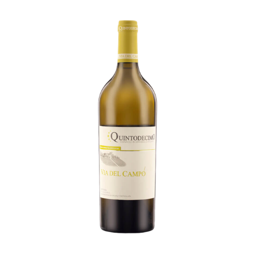 Quintodecimo, Via del Campo Falanghina 2022