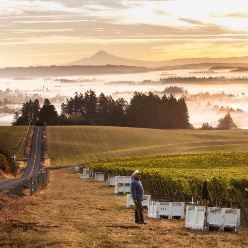 22.10.2026 West Coast Stories- A Great American Wine Road Trip